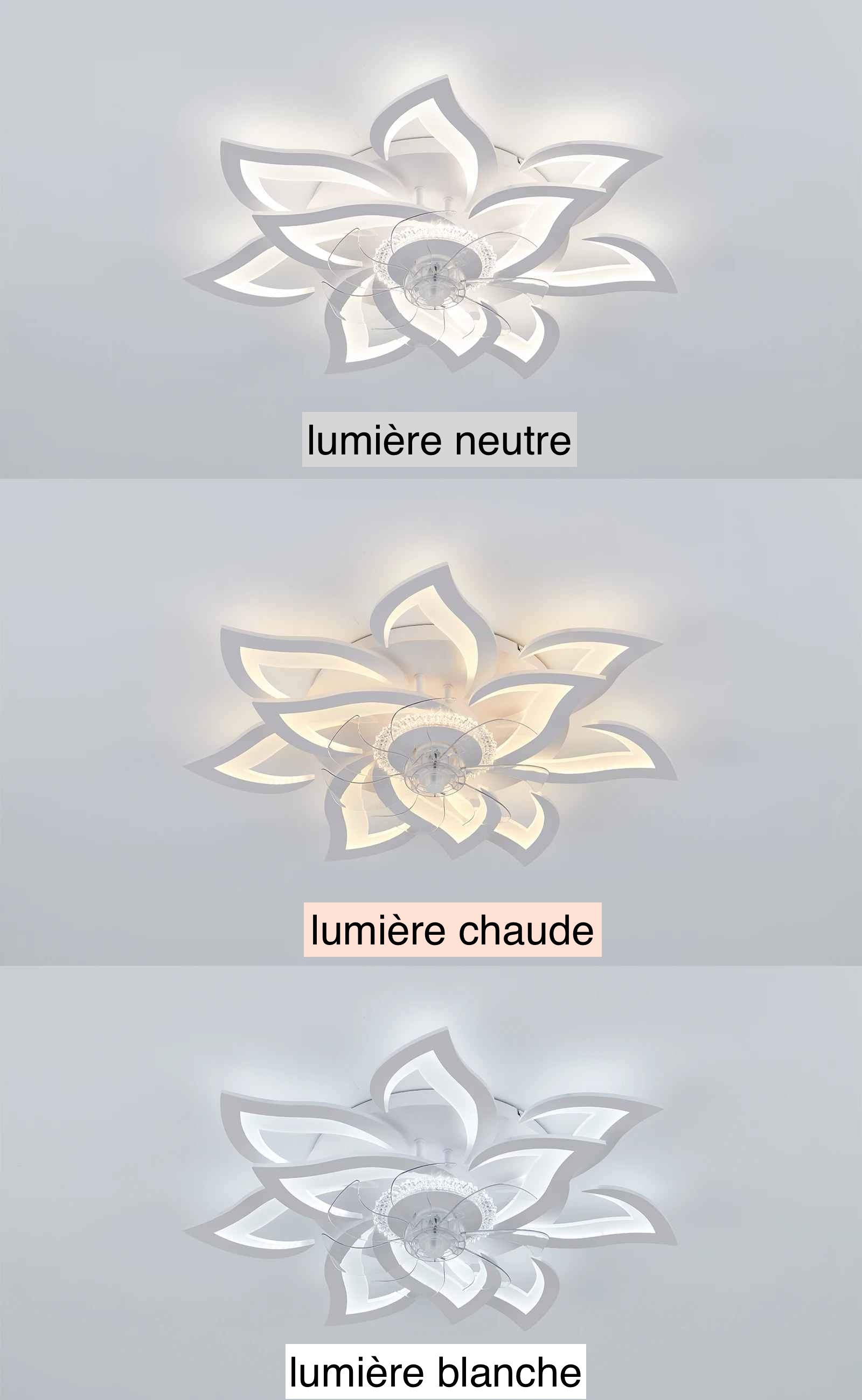 plafonnier ventilateur trois températures lumières neutre chaude blanche